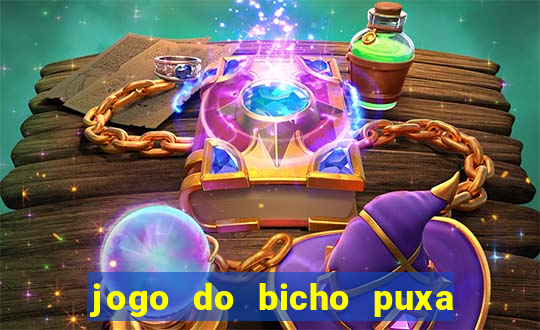 jogo do bicho puxa de dona maria